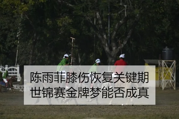 陈雨菲膝伤恢复关键期 世锦赛金牌梦能否成真