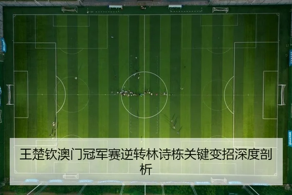 wang-chu-qin-ao-men-guan-jun-sai-ni-zhuan-lin-shi-dong-guan-jian-bian-zhao-shen-du-pou-xi-2-875.jpg